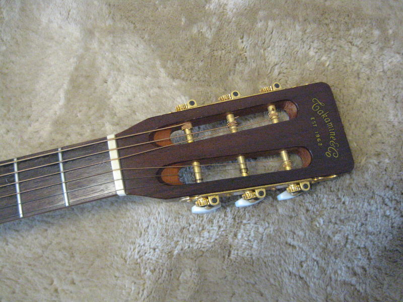 Takamine PT-408